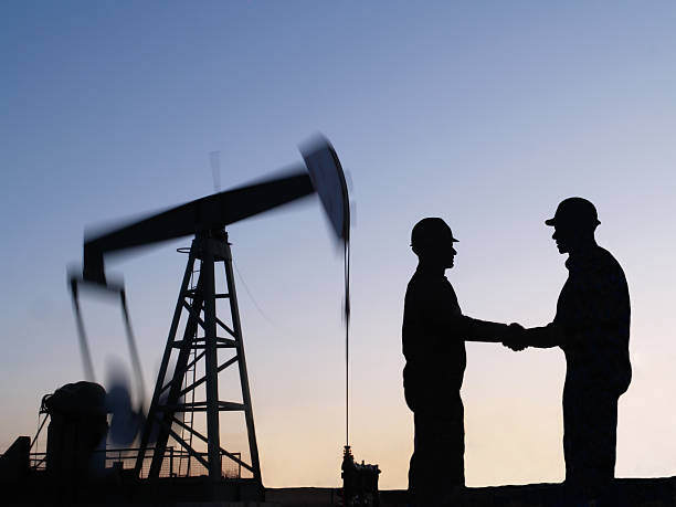 oil and gas industry expert